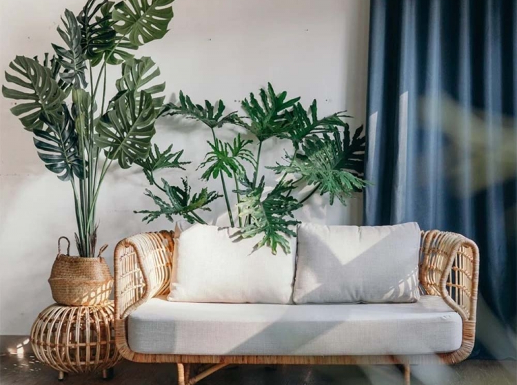 XU HƯỚNG SOFA PHÒNG KHÁCH HIỆN ĐẠI NĂM 2025